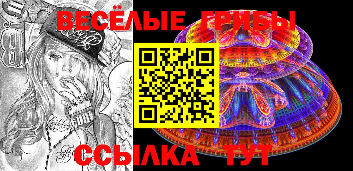 Менделеевск  Галлюциногенные грибы Cubensis  где можно купить   Вход с VPN 